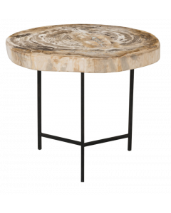 Riley Petrified Wood Accent Table